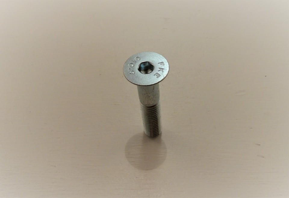 Inbus bout M10x50